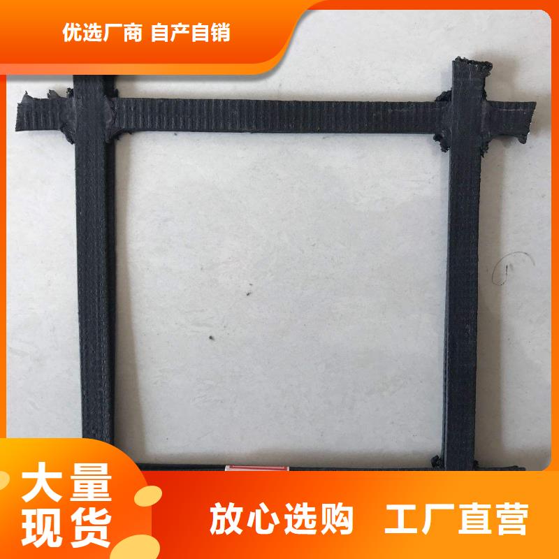 专业销售钢塑土工格栅-价格优惠