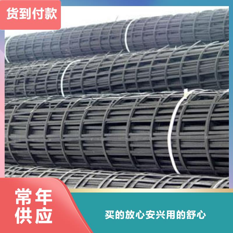 钢塑土工格栅参数详情