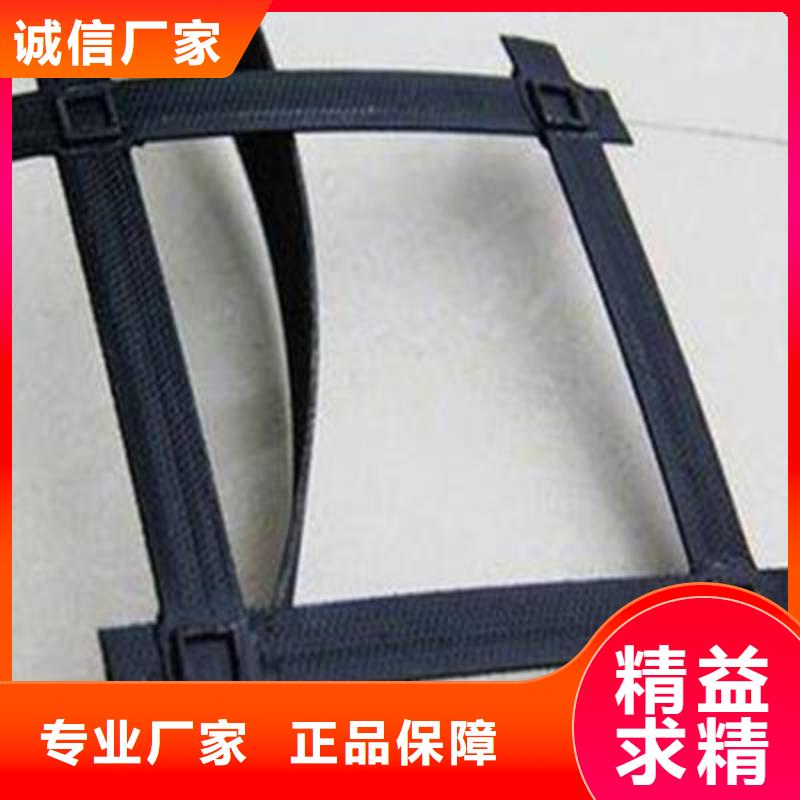 钢塑土工格栅可靠的商家