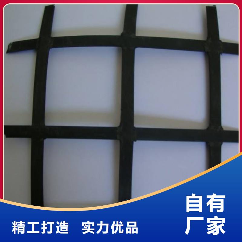 钢塑土工格栅大量批发