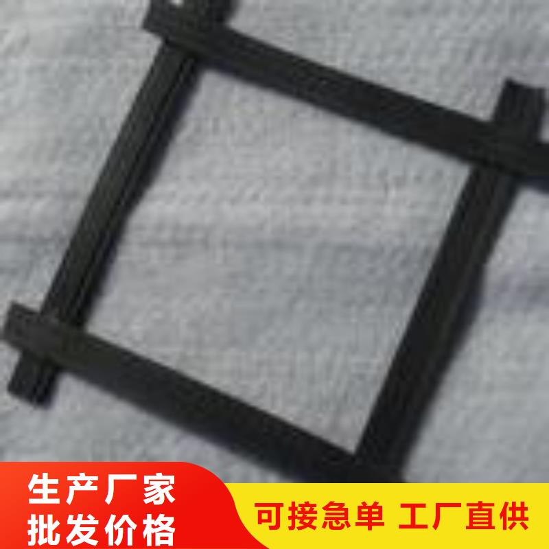 钢塑土工格栅-钢塑土工格栅专业厂家