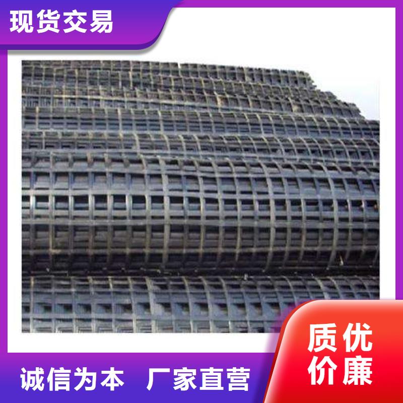 专业销售钢塑土工格栅-价格优惠