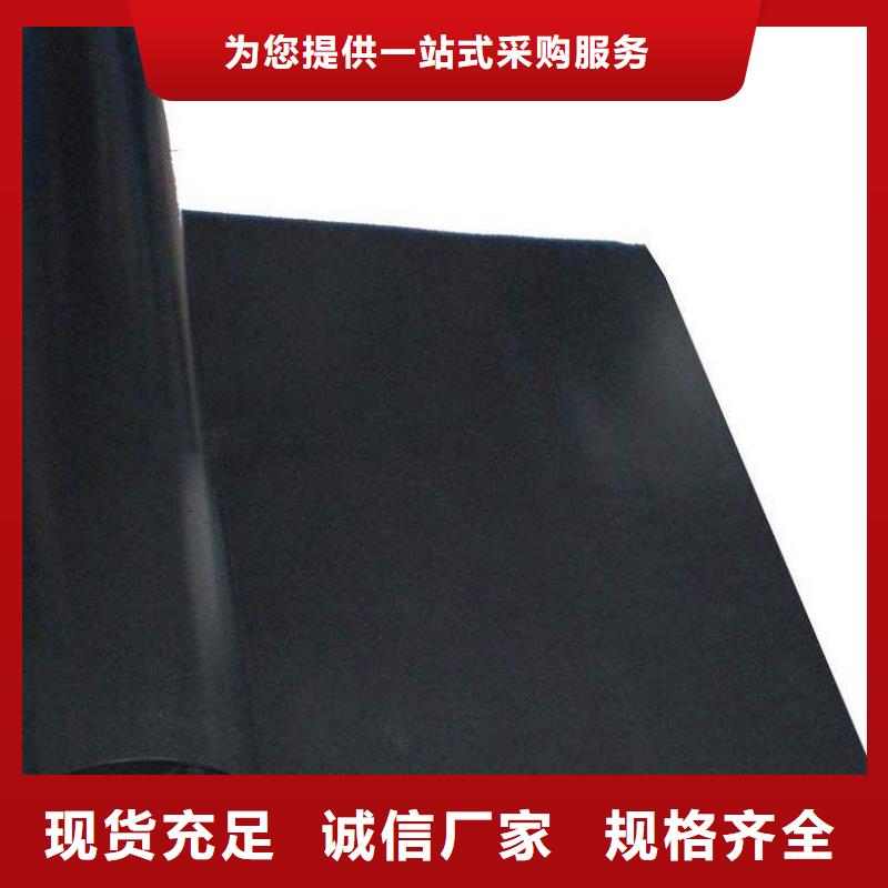 生产土工膜的生产厂家