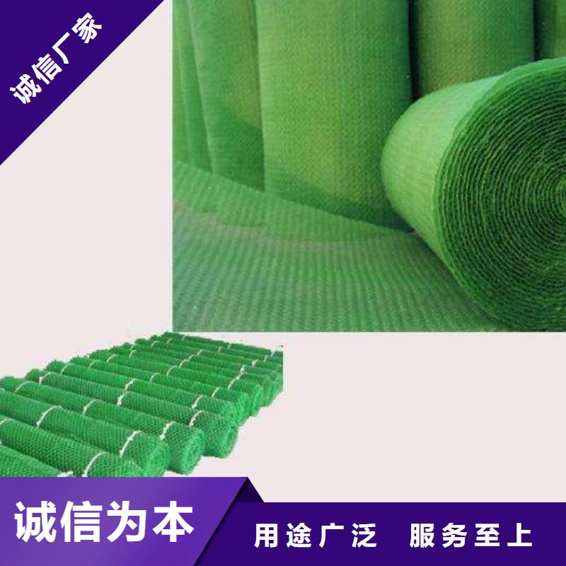 厂家直销 三维植被网厂家