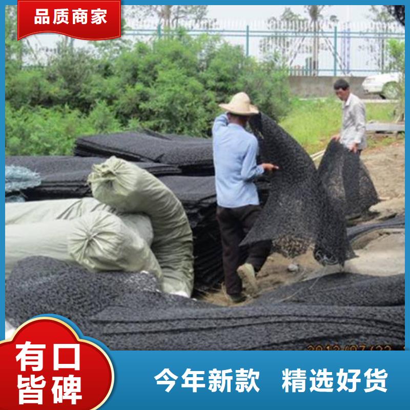 采购土工席垫必看-厂家直销