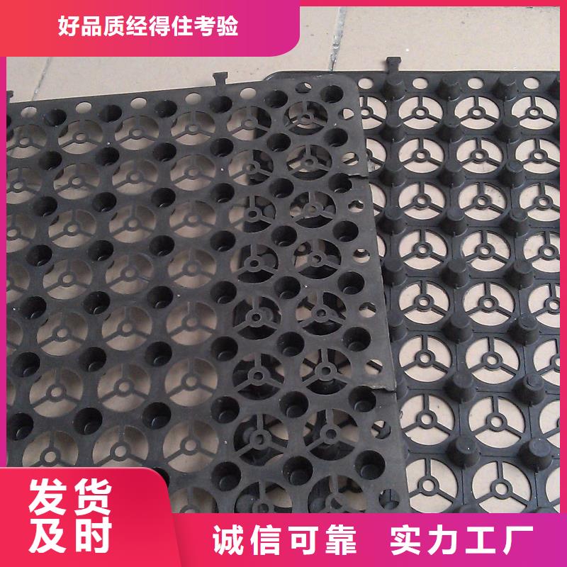 质量可靠的塑料排水板厂商