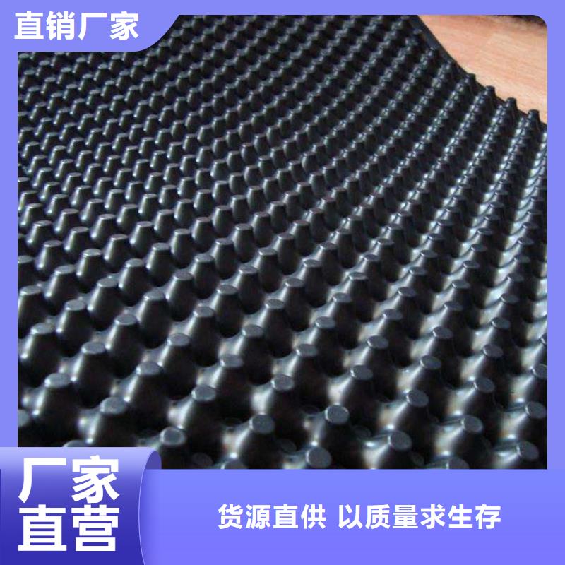 找塑料排水板-实体厂家可定制