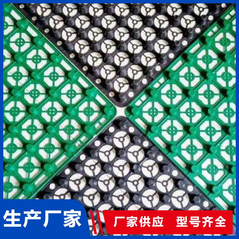 塑料排水板_塑料排水板有限公司