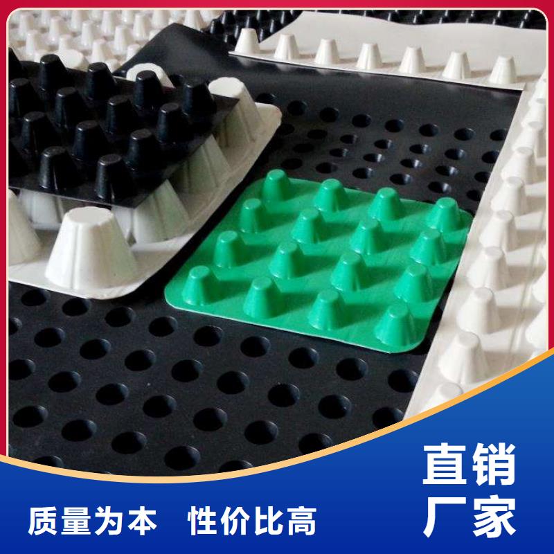 塑料排水板实业厂家