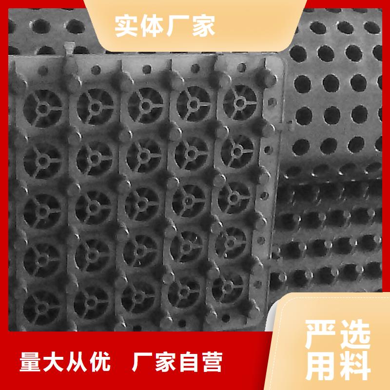 定做塑料排水板厂家