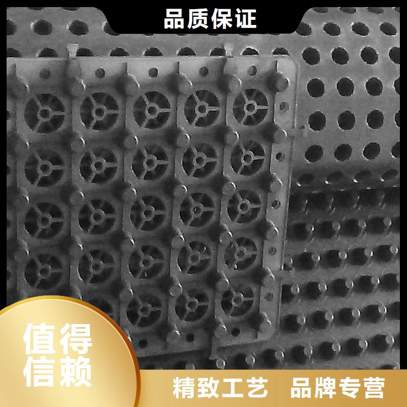塑料排水板-一心为客户
