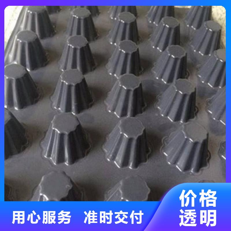 塑料排水板厂家供货
