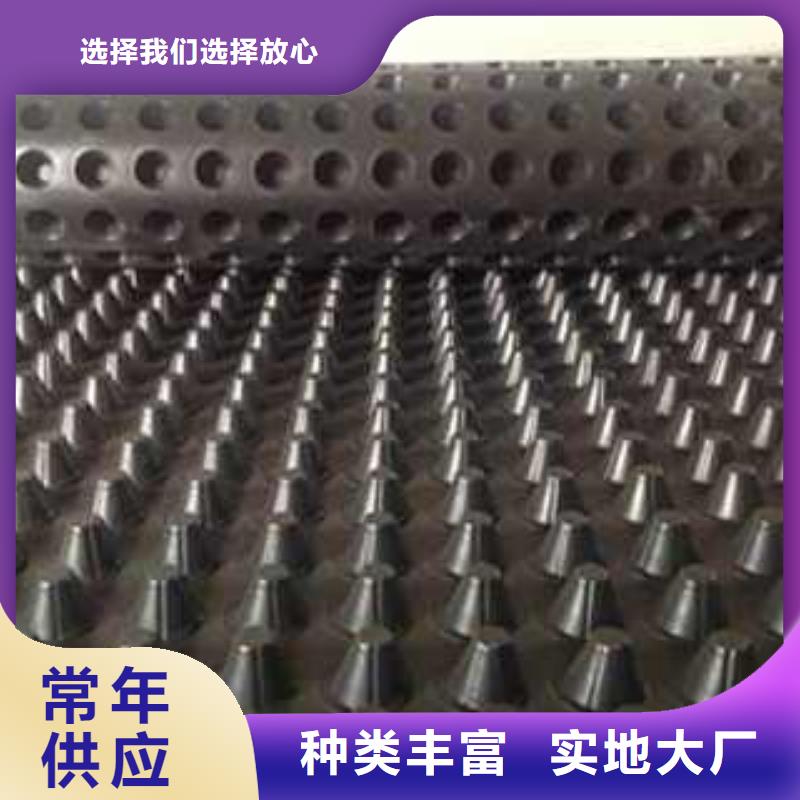 塑料排水板实业厂家