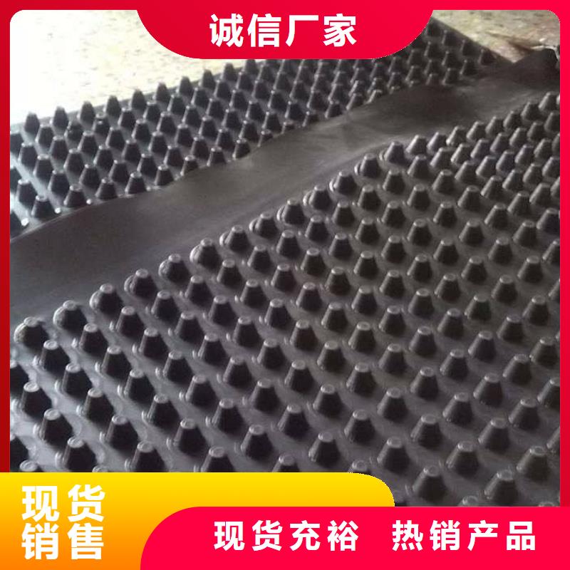 商水塑料排水板-放心可靠