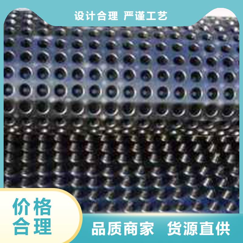 供应蓄水排水板-实体厂家可定制
