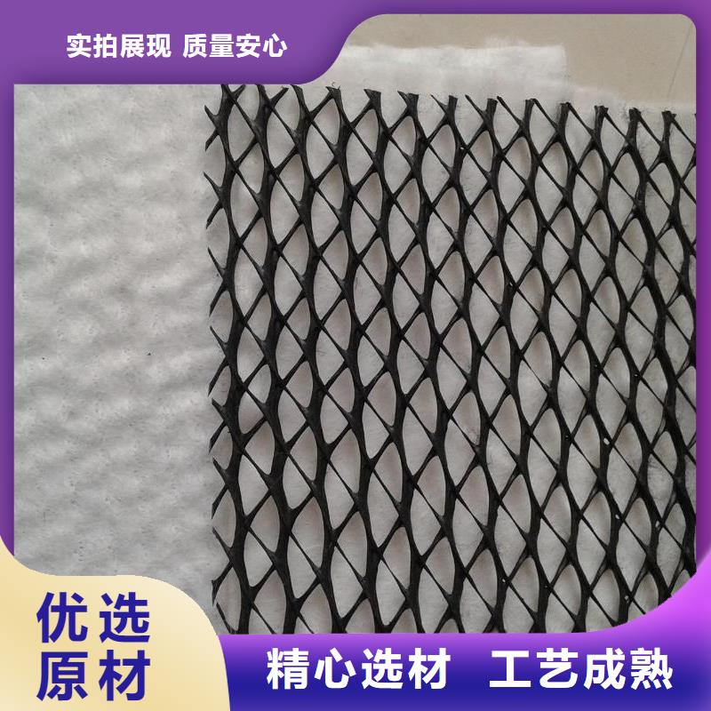 专业销售三维复合排水网-保质