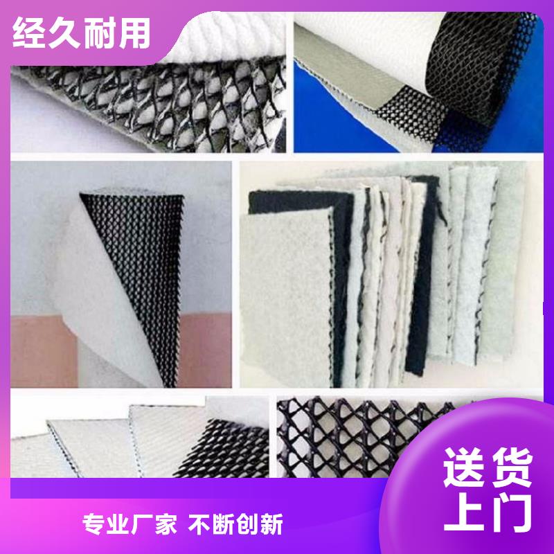 三维复合排水网源头厂家本地报价更优惠