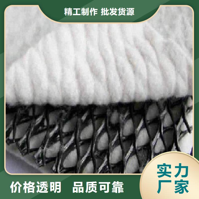 三维复合排水网精选厂家