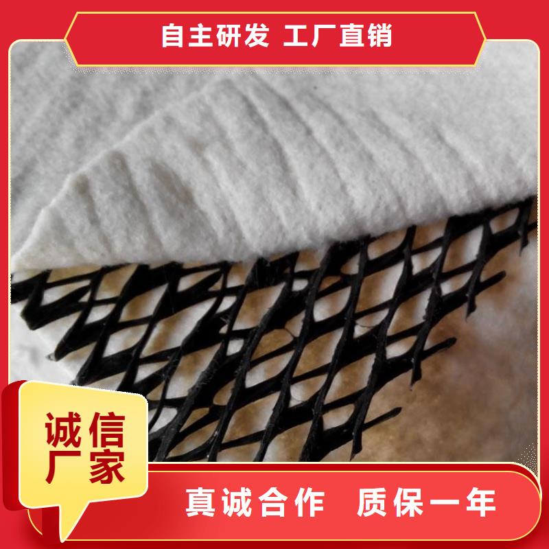 三维复合排水网天天低价