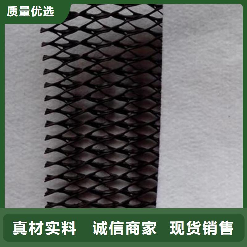 三维复合排水网厂家现货直发