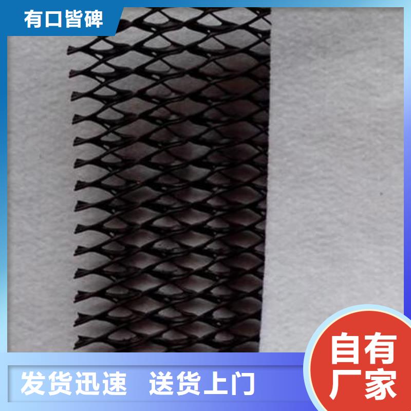 三维复合排水网天天低价