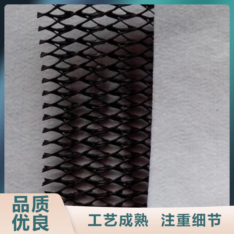 三维复合排水网精选厂家