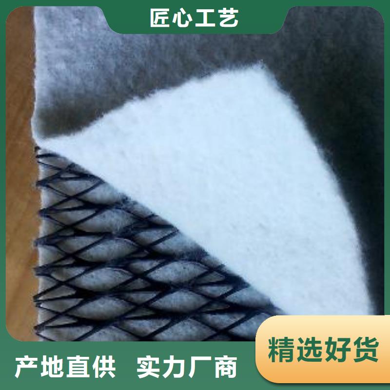 正规三维复合排水网厂家