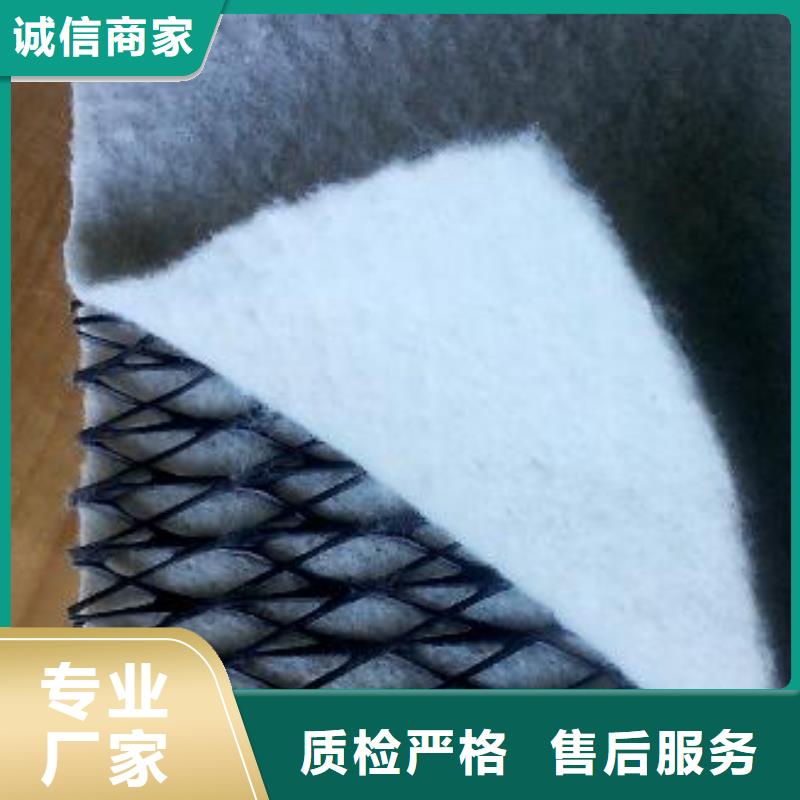 三维复合排水网精选厂家