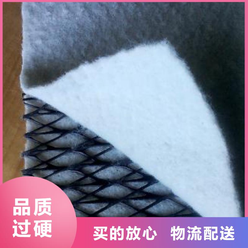 2025##三维复合排水网厂家##批发本地经销商