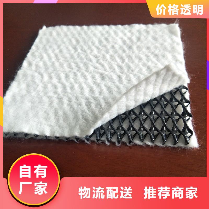 三维复合排水网厂家