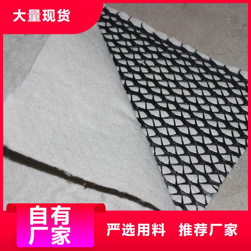 可定制的三维复合排水网实体厂家