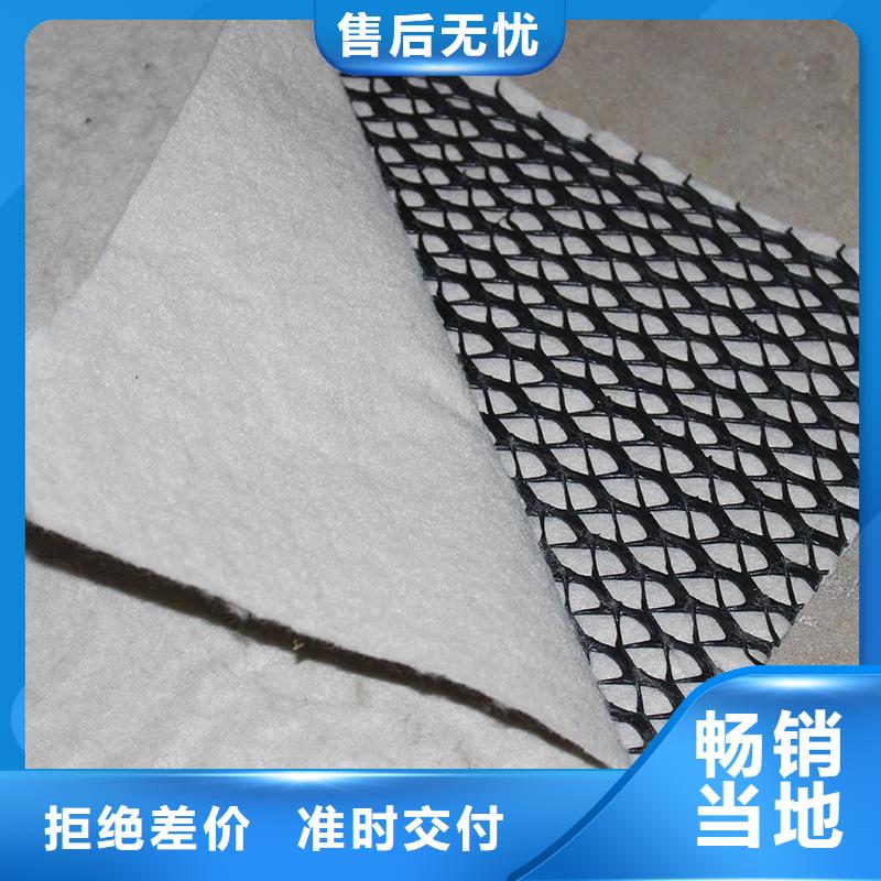 三维复合排水网厂家价格合理
