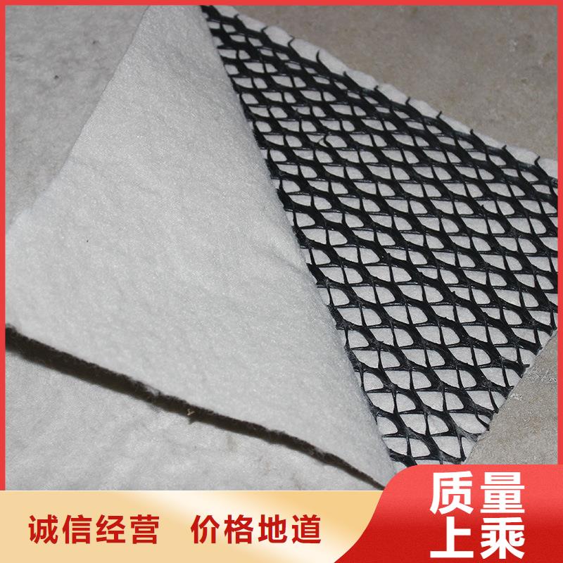 三维复合排水网实体大厂可放心采购