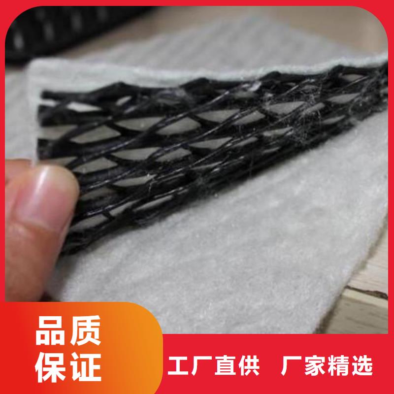 三维复合排水网个性化定制