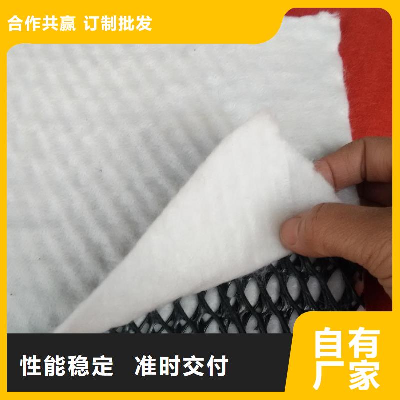 三维复合排水网厂家价格合理