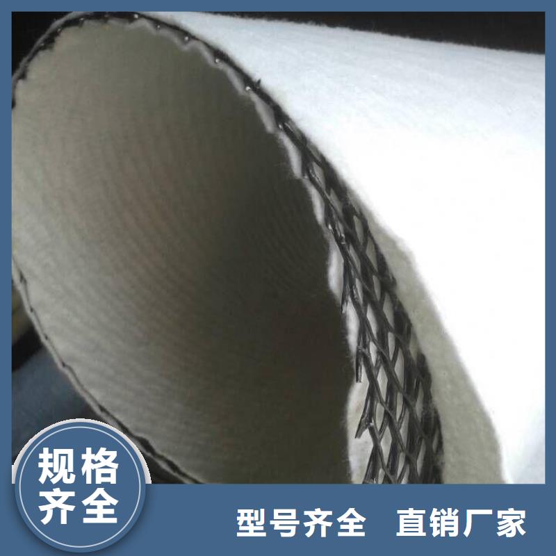 三维复合排水网厂家现货直发