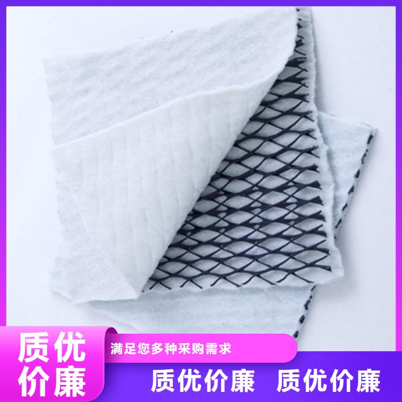 三维复合排水网规格种类详细介绍品牌