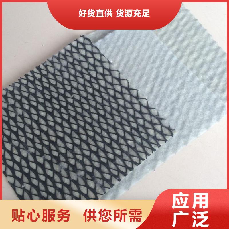 供应三维复合排水网现货