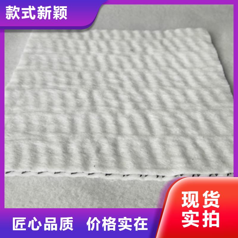 三维复合排水网个性化定制