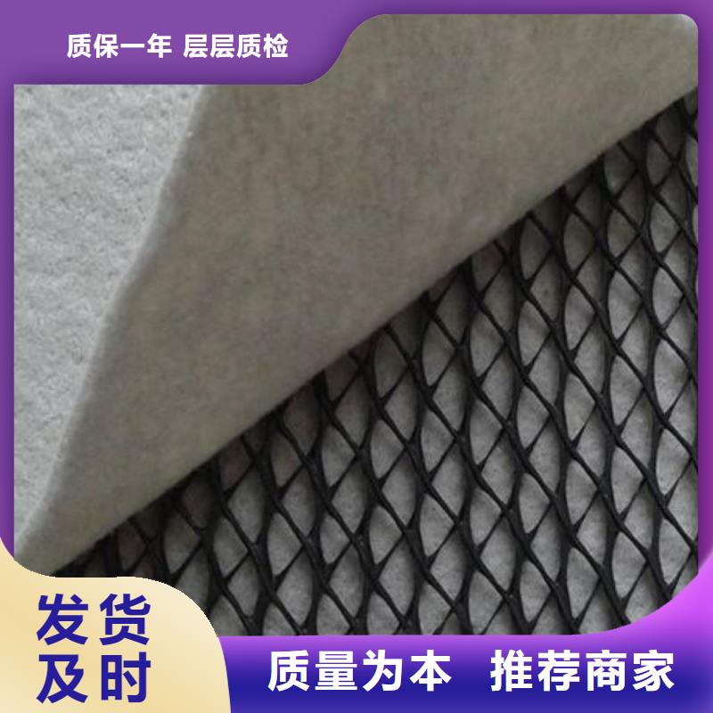 三维复合排水网_水木工程材料有限公司