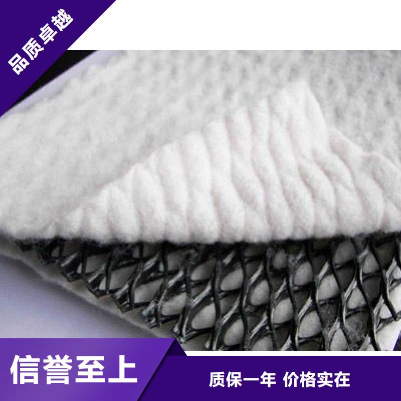 专业销售三维复合排水网-保质