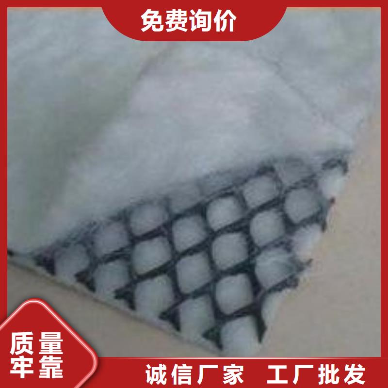 三维复合排水网源头厂家本地报价更优惠