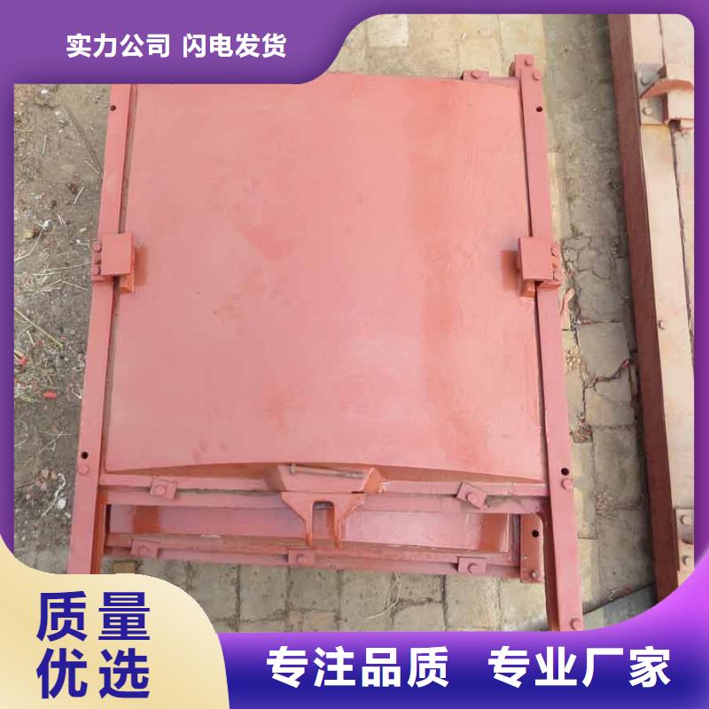 铸铁闸门-自主研发