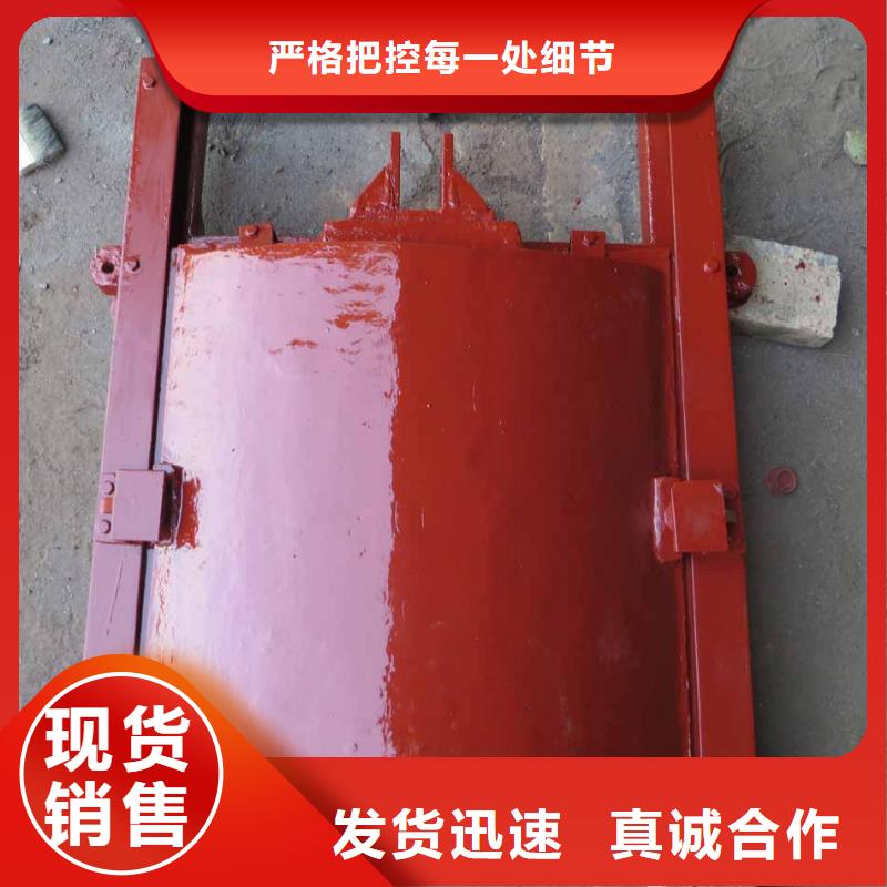 铸铁闸门生产厂家-型号齐全本地品牌