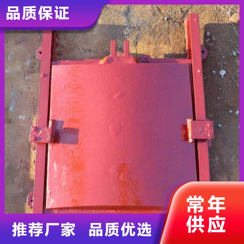 有实力的铸铁闸门厂家