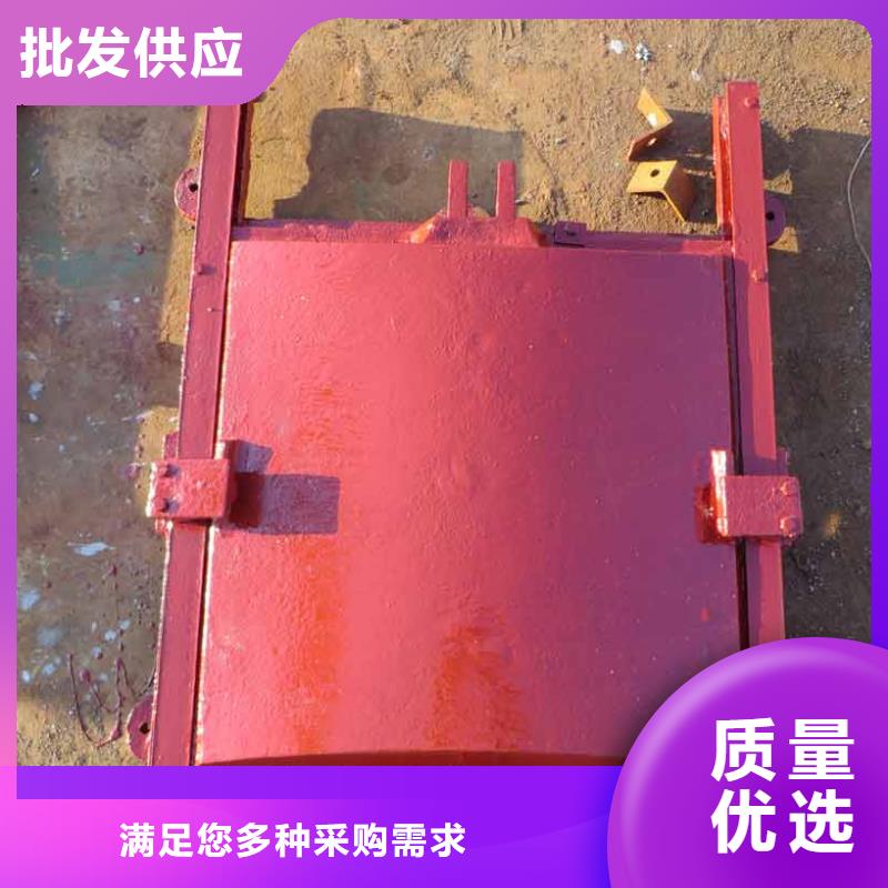 铸铁闸门-诚信立足