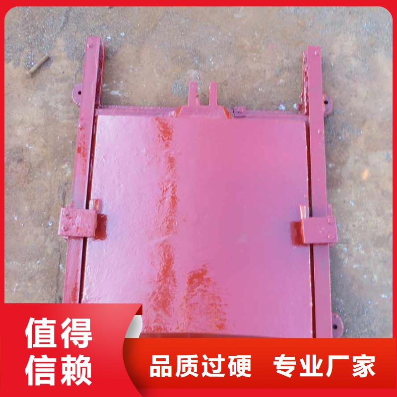 铸铁闸门-优质靠谱质优价廉