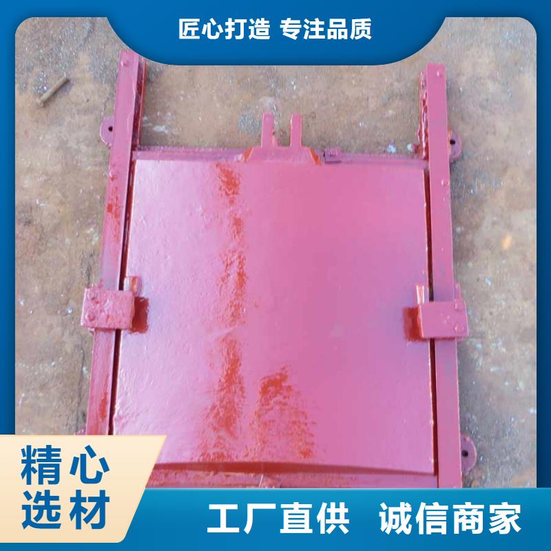 铸铁闸门厂家
