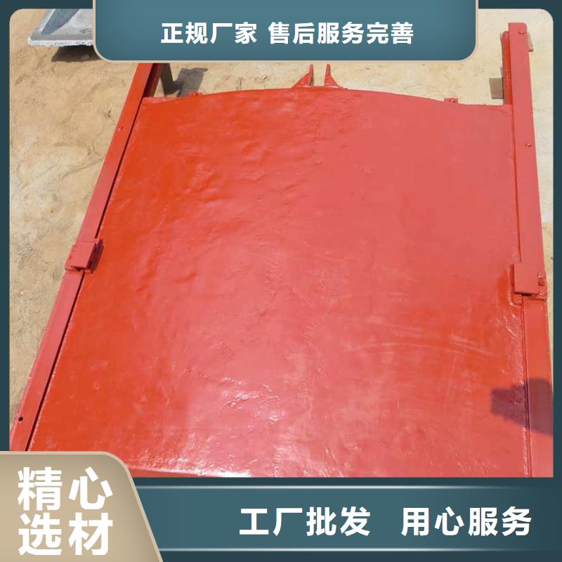 铸铁闸门-可寄样品