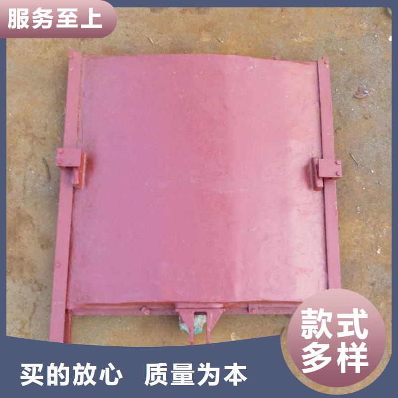 定做铸铁闸门的销售厂家本地生产厂家